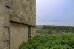 Ancient Building In Israel With Green View	 Stock Photo