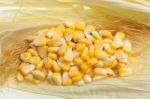 Corn Grain Stock Photo