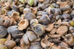 Pile Of Coconut Shell Stock Photo