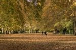 Autumn Park Stock Photo