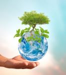 Saving Earth Environment Stock Photo