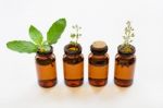 Holy Basil Essential Oil In A Glass Bottle With Fresh Holy Basil Stock Photo