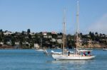 Approaching Sausalito Marina Stock Photo