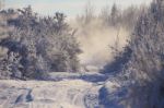 Winter Morning In Belarus Stock Photo