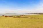 Lake Koka In Ethiopia Stock Photo