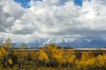 Autumn In The Grand Tetons Stock Photo