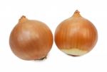 Ripe Onion Stock Photo