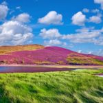 Colorful Landscape Scenery Of Pentland Hills Slope Covered By Vi Stock Photo