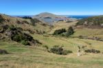 Otago Peninsula Stock Photo