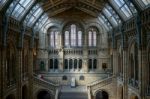 People Exploring  The National History Museum In London Stock Photo