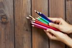 Set Of Colored Pencils In Female Hands On A Background Of Dark W Stock Photo