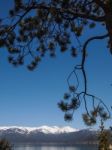 Landscape Of Lake Tahoe Stock Photo