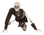 Skeleton Warrior Stock Photo