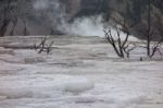 Mammoth Hot Springs Stock Photo