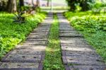 Concrete Walkway In The Park Stock Photo