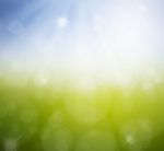 Spring Nature Background With Grass Stock Photo