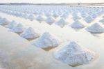 Heap Of Sea Salt In Original Salt Produce Farm Make From Natural Stock Photo