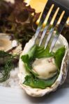 Oyster Stock Photo