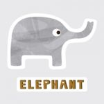 Elephant Stock Photo