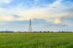 Rice Field With Electric Tower Stock Photo