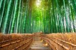 Bamboo Forest In Kyoto, Japan Stock Photo