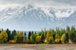 Autumn In The Grand Tetons Stock Photo