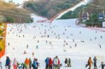 Vivaldi Park Ski Resort Stock Photo