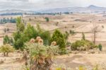 Landscape In Ethiopia Near Ali Doro Stock Photo