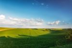 Spring Green Fields. Beautiful Wavy Spring View. Spring Rolling Stock Photo