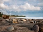 Pebbles On A Beach With A Tree Trunk Stock Photo