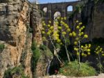 View Of The New Bridge In Ronda Stock Photo