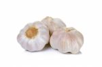 Garlic Isolated On The White Background Stock Photo