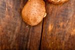 Shiitake Mushrooms Stock Photo