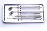 Dental Tools On Plate Stock Photo