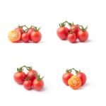 Tomato Stock Photo