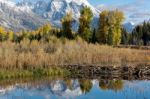 Schwabachers Landing Stock Photo