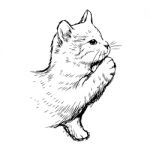 Little Cat Hand Drawn Stock Photo