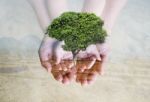 Save Green Environment Stock Photo