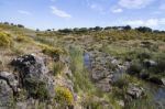 Beautiful Spring View Of A Countryside Stream Of Water Located In Portugal Stock Photo