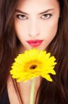 Woman And Yellow Daisy Stock Photo