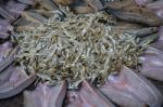 Sun Dried Fish In The Market Stock Photo