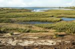 Natural Ria Formosa Marshlands Stock Photo