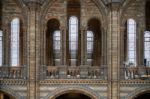 Interior View Of The Natural History Museum In London Stock Photo