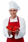 Young Chef Holding Fresh Tomatoes Stock Photo