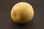 Galia Melon Stock Photo