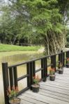 Wooden Walkway To Tropical Garden Stock Photo