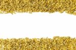 Frame By Paddy Rice And Rice Seed On The White Background For Isolated Stock Photo