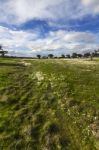 Spring Countryside Landscape Stock Photo