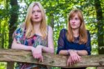 Two Girls Leaning On Wooden Fence In Nature Stock Photo