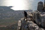 View From The Top Of The Hill,montenegro Stock Photo